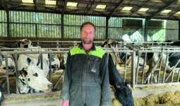 Un homme dans un bâtimentagricole avec des vaches au cornadis deriière