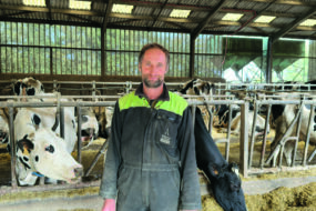 Un homme dans un bâtimentagricole avec des vaches au cornadis deriière