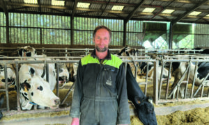 Un homme dans un bâtimentagricole avec des vaches au cornadis deriière