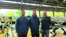 3 hommes debout devant des vaches en logettes