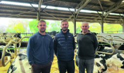3 hommes debout devant des vaches en logettes