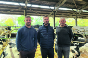 3 hommes debout devant des vaches en logettes