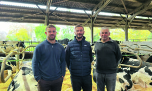 3 hommes debout devant des vaches en logettes
