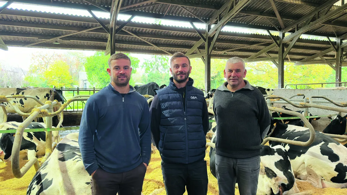 3 hommes debout devant des vaches en logettes - Illustration Système bouleversé, production améliorée