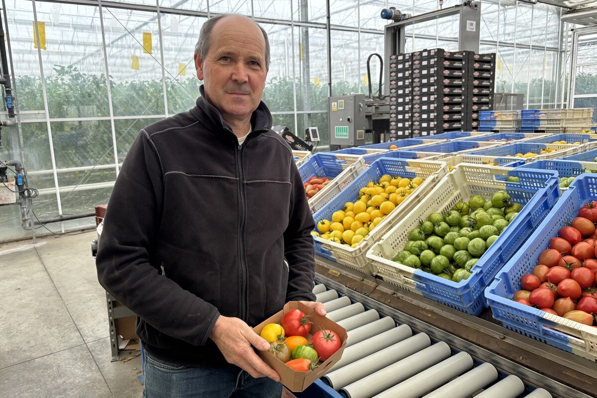 Une personne avec une barquette de tomate - Illustration Moderniser sa structure, l’entretenir pour l’avenir