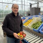 Une personne avec une barquette de tomate