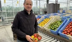 Une personne avec une barquette de tomate