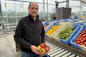 Une personne avec une barquette de tomate
