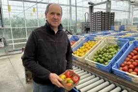 Une personne avec une barquette de tomate