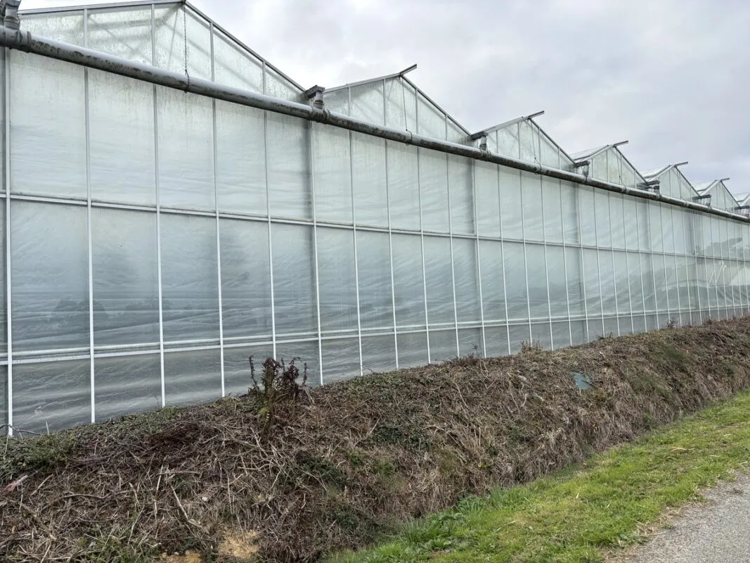 La charpente des plus anciennes serres a été rehaussée.