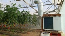 Un déshumidificateur dans une serre de tomates