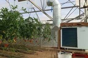 Un déshumidificateur dans une serre de tomates