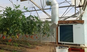 Un déshumidificateur dans une serre de tomates