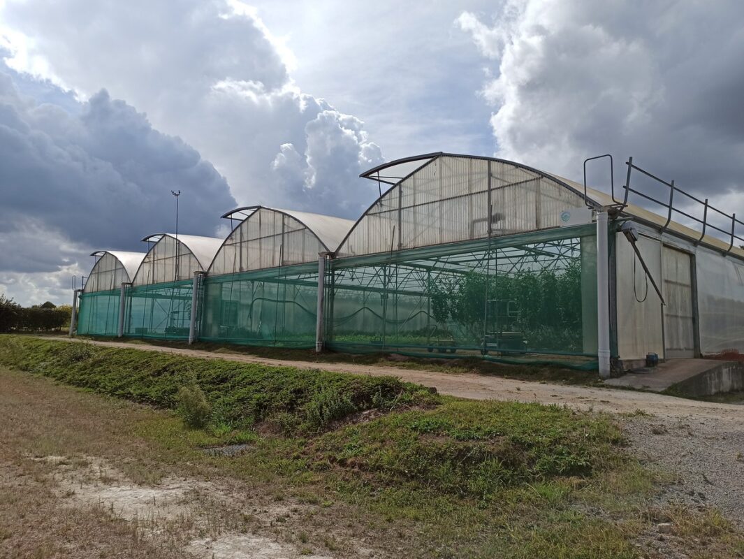 L'essai s'est déroulé dans des multichapelles à parois doubles.