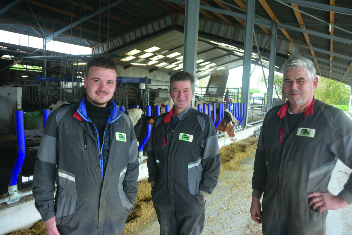 Des personnes devant des vaches dans un bâtiment d'élevage