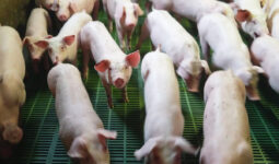 Photo PB 14-11-25.jpg