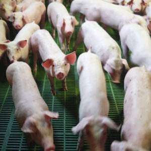 Photo PB 14-11-25.jpg