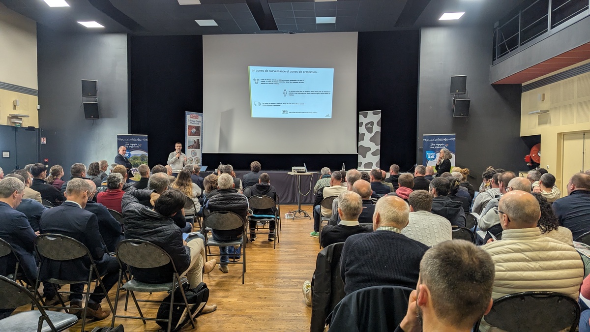 Une assemblée dans une salle devent un grand écran de projection - Illustration Résilience et confiance  en lait et bovin viande