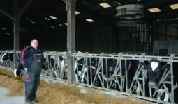 Un éleveur devant des vaches au cornadis