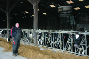 Un éleveur devant des vaches au cornadis