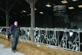 Un éleveur devant des vaches au cornadis
