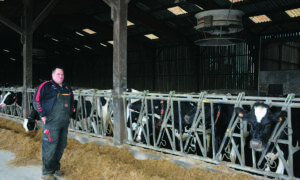 Un éleveur devant des vaches au cornadis