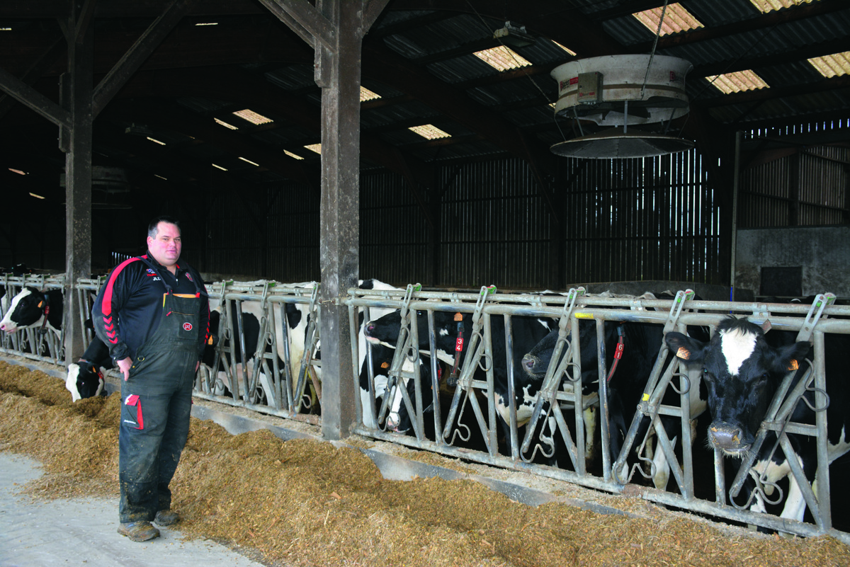 Un éleveur devant des vaches au cornadis - Illustration Une évolution progressive