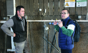 Deux hommes en train de discuter dans un bâtiment d'élevage de vaches laitières