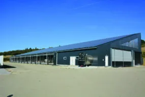 Un bâtiment d'élevage de vaches laitières en monopente