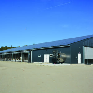 Un bâtiment d'élevage de vaches laitières en monopente