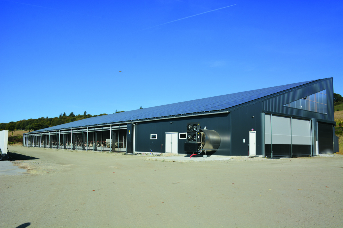 Un bâtiment d'élevage de vaches laitières en monopente - Illustration Un bâtiment monopente équipé de logettes innovantes