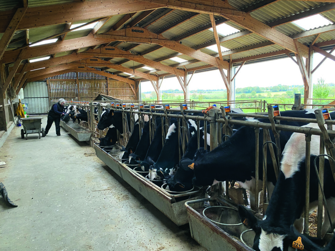 La nurserie aussi est lumineuse.