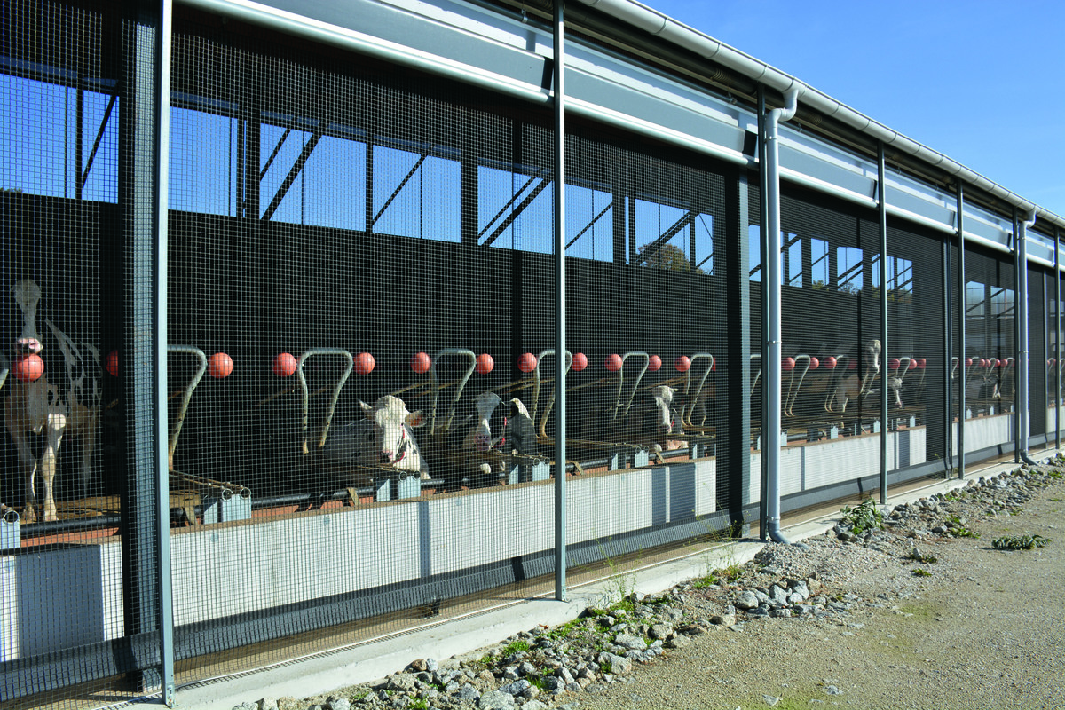 Vue du côté exposé au sud avec le rideau grand ouvert.