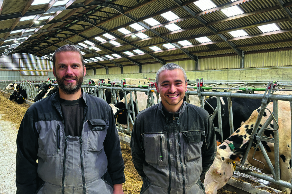 Des personnes devant un troupeau de vaches dans un bâtiment agricole - Illustration L’ancien site de pondeuse devient laitier