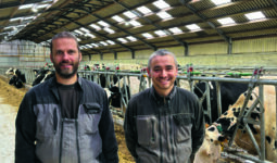 Des personnes devant un troupeau de vaches dans un bâtiment agricole