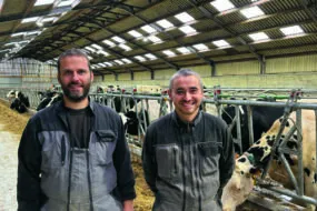 Des personnes devant un troupeau de vaches dans un bâtiment agricole