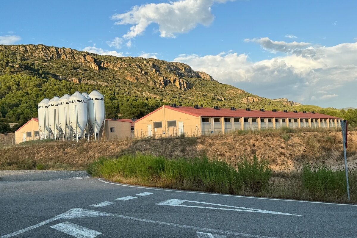 Un paysange de montagne ensoleillé avec un bâtiment d'élevage de porc et des silos à grain - Illustration Marché européen : L’Espagne, première puissance porcine