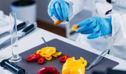 Gros plan sur les mains d'un scientifique qui porte des gants de laboratoire. Il analyse des poivrons