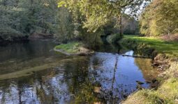 rivière bretonne en automne