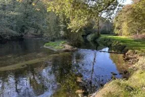 rivière bretonne en automne