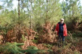 Un homme en forêt