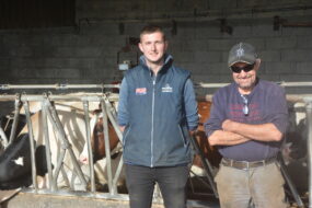 Deux personnes devant des vaches