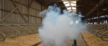 test de fumigène dans une stabulation de vaches