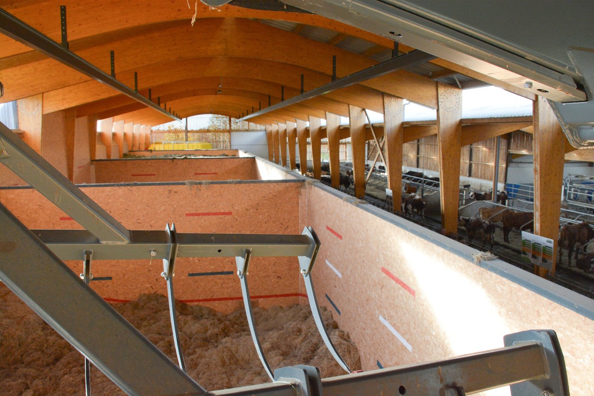 Une aire de stockage de foin séché dans un bâtiment d'élevage face à l'aire d'alimentation des bovins - Illustration Un bâtiment réfléchi autour du foin