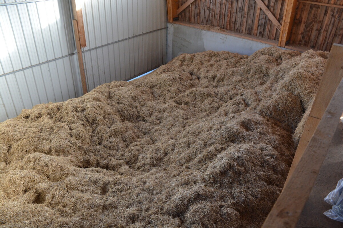 De futures cellules à séchage à plat stockent la paille destinée aux logettes.