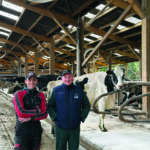 Deux hommes dans une étable de vaches laitières.