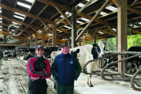 Deux hommes dans une étable de vaches laitières.