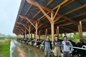 Trois éleveurs devant des vaches de race Holstein alignées à l'auge