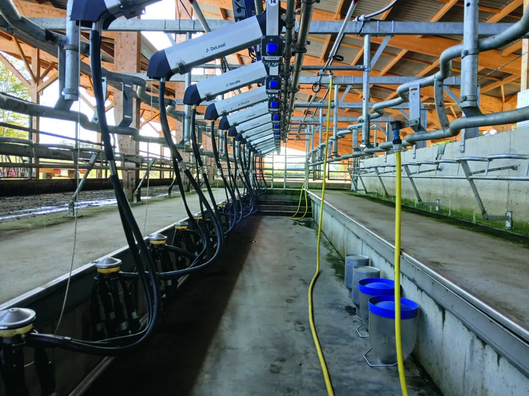 Vue d'une salle de traite en simple équipement