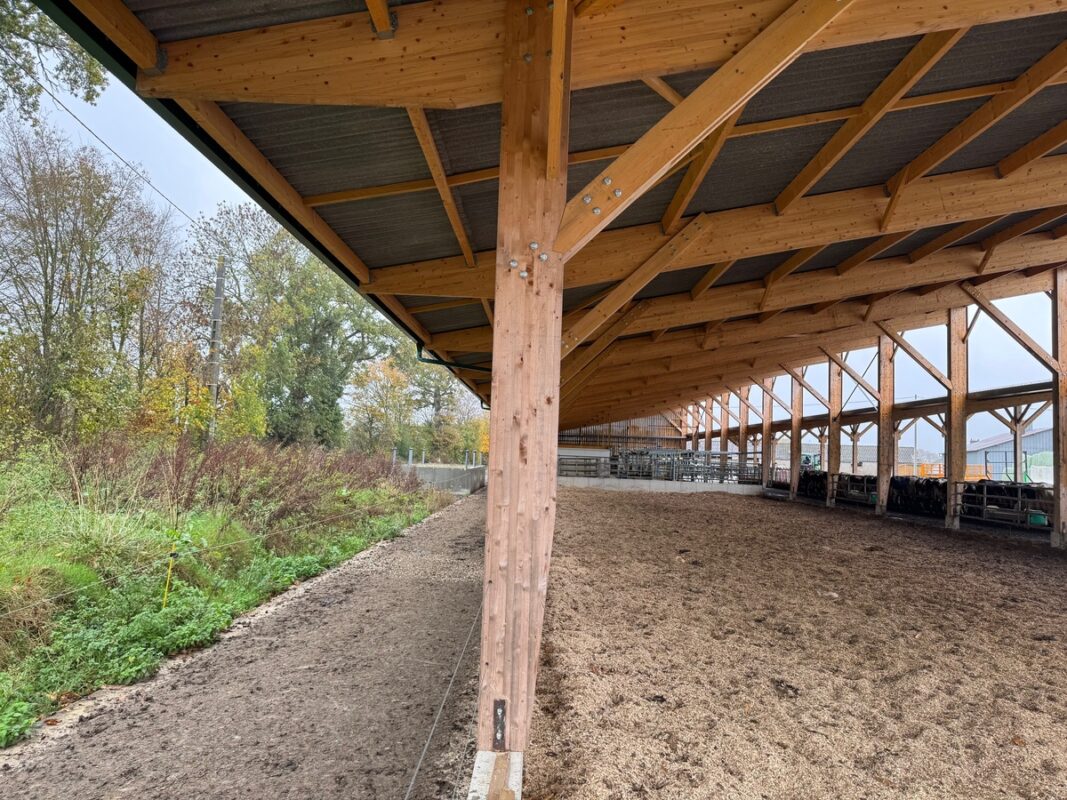 Côté ouest, un débord de toiture couvre un chemin bétonné d'accès évitant que la pluie atteigne la litière.
